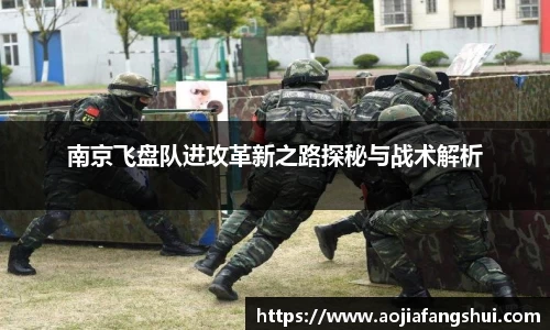 南京飞盘队进攻革新之路探秘与战术解析
